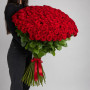 7 фиолетовых ирисов