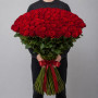 7 фиолетовых ирисов