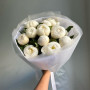 7 фиолетовых ирисов фото 2