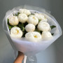 7 фиолетовых ирисов фото 4