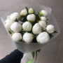 7 фиолетовых ирисов фото 2