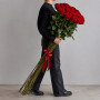 7 фиолетовых ирисов