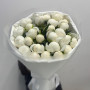 7 фиолетовых ирисов
