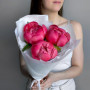 7 фиолетовых ирисов