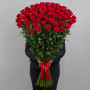 7 фиолетовых ирисов