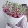 7 фиолетовых ирисов