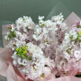 7 фиолетовых ирисов фото 2