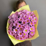 7 фиолетовых ирисов