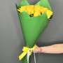 7 фиолетовых ирисов фото 4